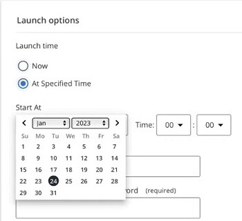 Screen capture of launch options showing calender date selector